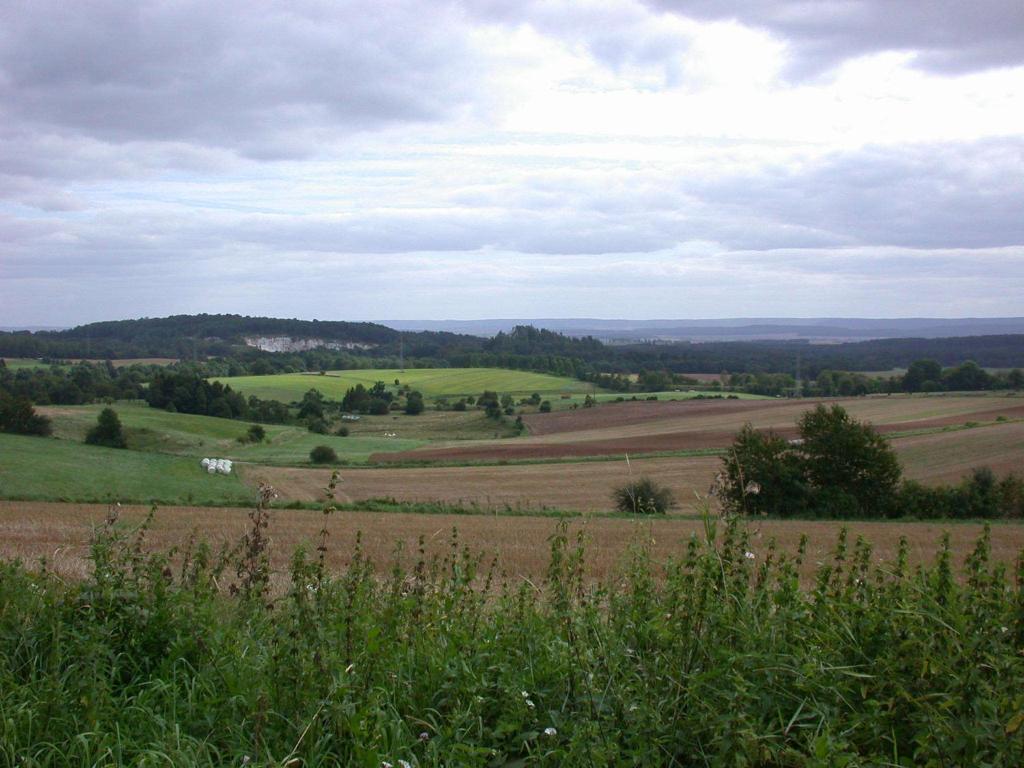 Hotel Muehlenberg Bad Sachsa Esterno foto
